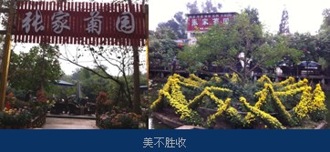 1472004177573676.jpg 2.jpg