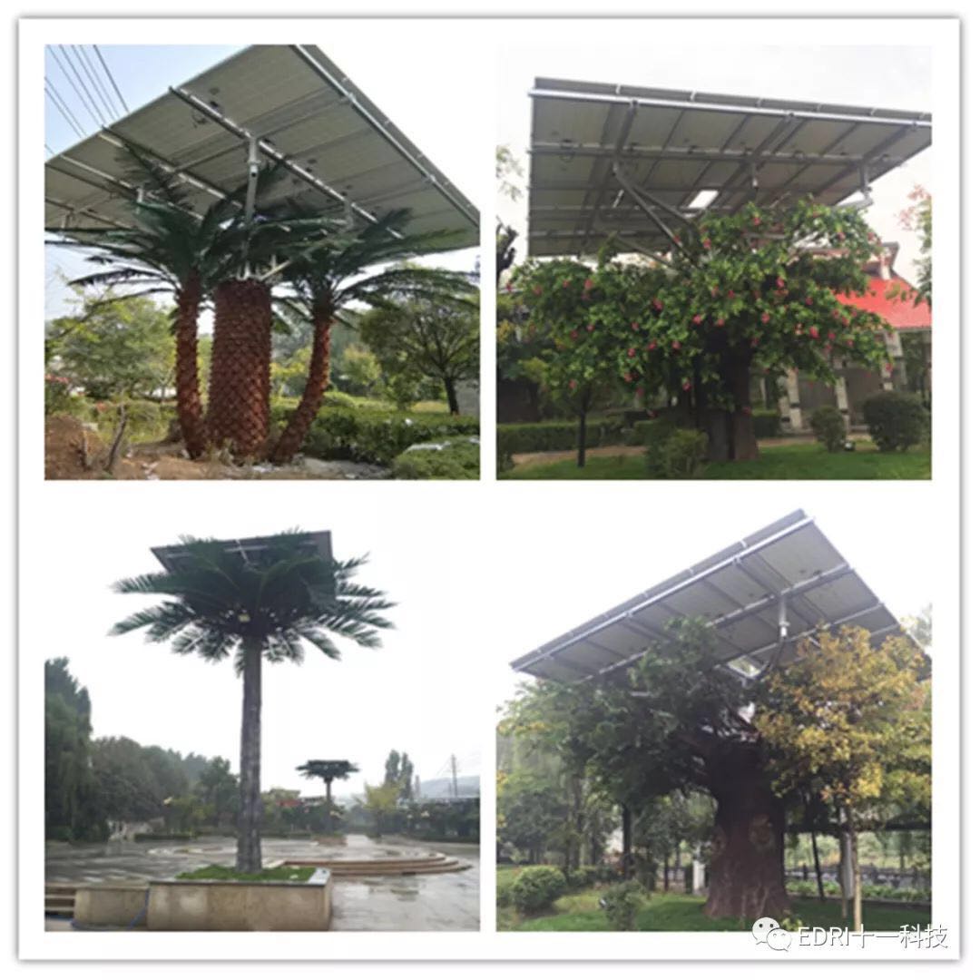 1513651026422568.jpg 25.jpg