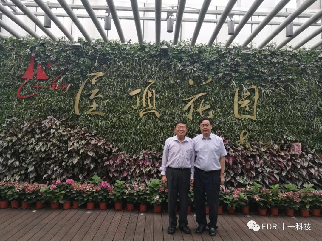 1529910554977375.jpg 25.jpg