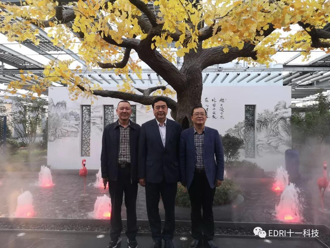 1540974100613821.jpg 2.jpg