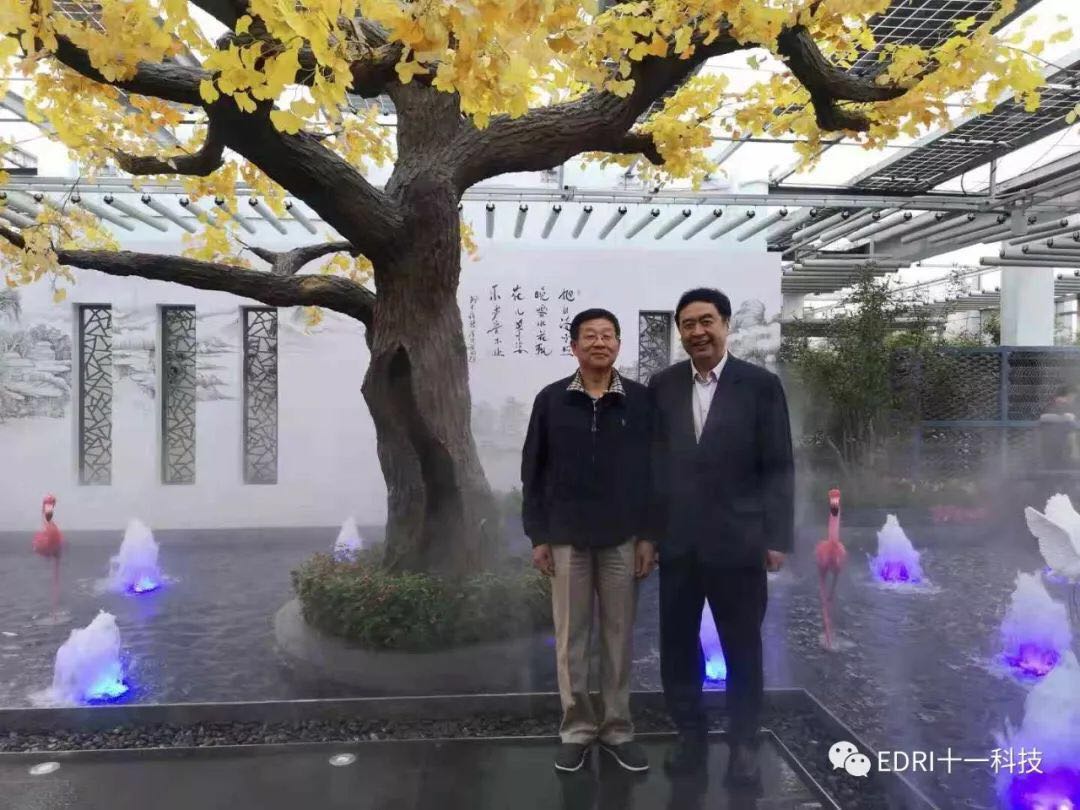 1540974962231351.jpg 9.jpg